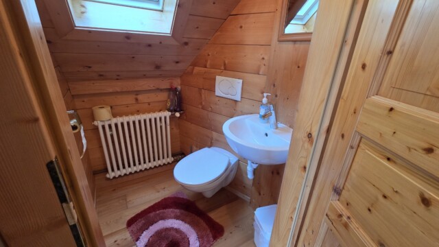Badezimmer mit Waschbecken und WC in der Jakobhütte