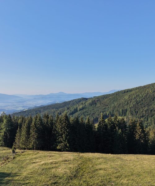 Almhaus-Christine-ausblick