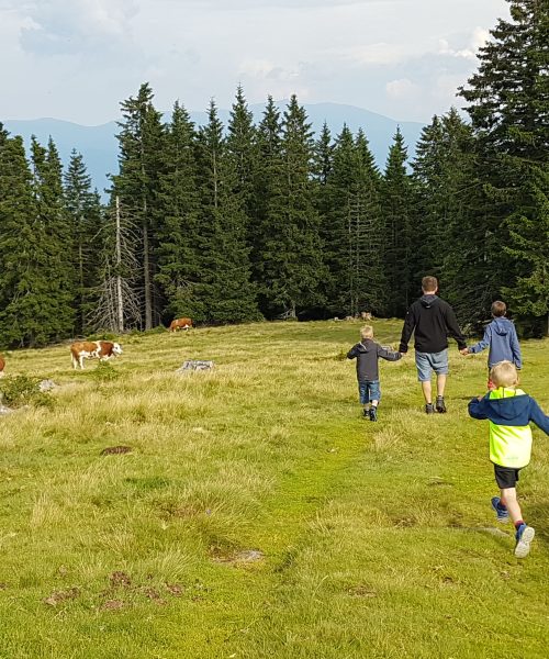Familie mit Kindern auf einer Almwiese in Forst auf der Saualpe
