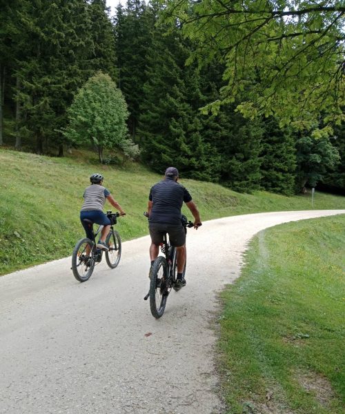 radfahren-forst-23-8-26